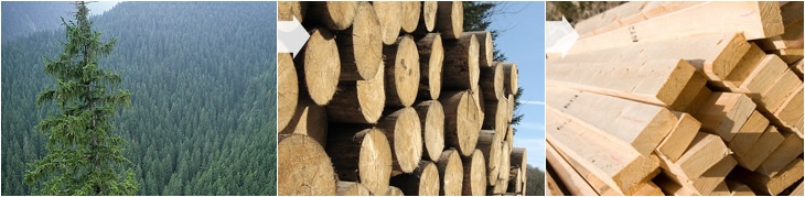 sawmill sawmill