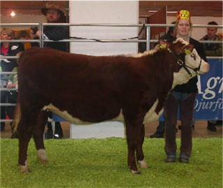 7125 BPH Unique 7125 BPH Unique