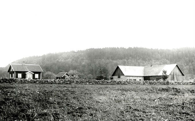 Foto från Ingegerd Hermanssons samling, Överbo, Varnhem, 2016. Klicka på bilden för att se den större! Foto från Ingegerd Hermanssons samling, Överbo, Varnhem, 2016. Klicka på bilden för att se den större!