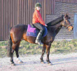 Alexandra Klingspor - Miranda III Alexandra Klingspor - Miranda III