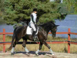 Ann Lafrenz - Whoopie Ann Lafrenz - Whoopie