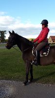 Elin Gustafsson - BOSS Elin Gustafsson - BOSS