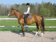 Helene Milton - Lectra Helene Milton - Lectra
