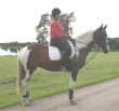 Harriet Larsson - Pebles Harriet Larsson - Pebles
