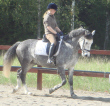 Frida Hindemo - Brandy Sauer Frida Hindemo - Brandy Sauer