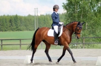 Linnea Philipsson och Brolly Fly innehar % plakett nr 14. Linnea Philipsson och Brolly Fly innehar % plakett nr 14.