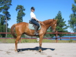 Sanna Laine - William Sanna Laine - William