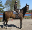 Sanna Laine - Karam Sanna Laine - Karam