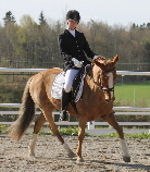 Sara Glennhammar - Rakel Sara Glennhammar - Rakel