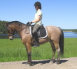 Tindra Backman - Scirocco innehar 70% plakett nr 4. Tindra Backman - Scirocco innehar 70% plakett nr 4.