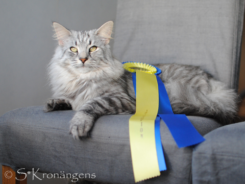 1 år 1 år