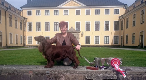 BIS: Field spaniel C.I.E NORD UCH SE U(U)CH NO UCH DK UCH DK V-13 NORD V-11 NO V-11 NO V-12 NO V-13 NO V-14 SE V-11 SE V-12 SE V-15 Winterbourne Itsy Bitsy. Ägare och uppfödare: Maria Köhlström, Fjugesta. Domare: Hans Rosenberg. BIS: Field spaniel C.I.E NORD UCH SE U(U)CH NO UCH DK UCH DK V-13 NORD V-11 NO V-11 NO V-12 NO V-13 NO V-14 SE V-11 SE V-12 SE V-15 Winterbourne Itsy Bitsy. Ägare och uppfödare: Maria Köhlström, Fjugesta. Domare: Hans Rosenberg.