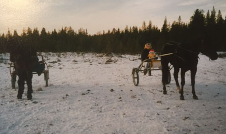 Här är han i mitt knä i vagnen bakom vår varmblodstravare Junicia Scott. Här är han i mitt knä i vagnen bakom vår varmblodstravare Junicia Scott.