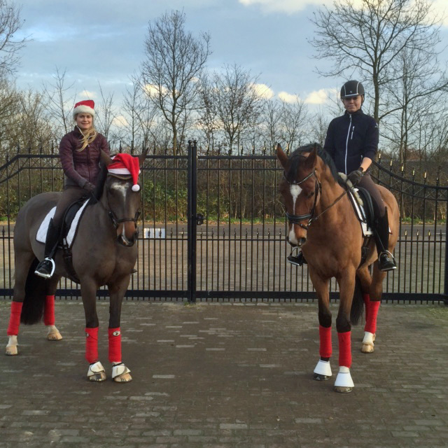 Härlig grön julhälsning från Holland 2015. Sara & Eddie och Daniella & Florens Härlig grön julhälsning från Holland 2015. Sara & Eddie och Daniella & Florens