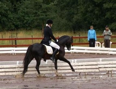 Montana och Daniella på SM 2008 på Hammarö. Banorna låg under vatten och Montana tyckte det var så där. Montana och Daniella på SM 2008 på Hammarö. Banorna låg under vatten och Montana tyckte det var så där.