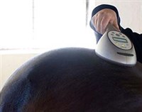 Här jobbar Biolighten för full maskin Här jobbar Biolighten för full maskin