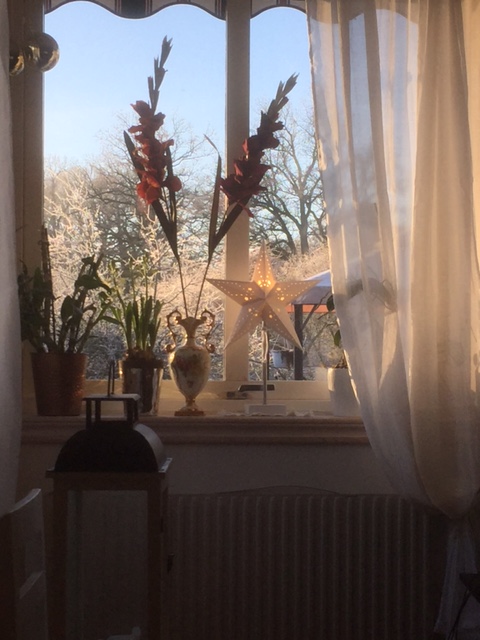 Härligt decemberväder mitt i julstöket Härligt decemberväder mitt i julstöket