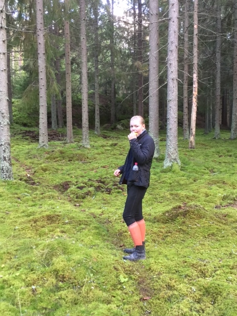 Svampsafari på Fjällskär Svampsafari på Fjällskär