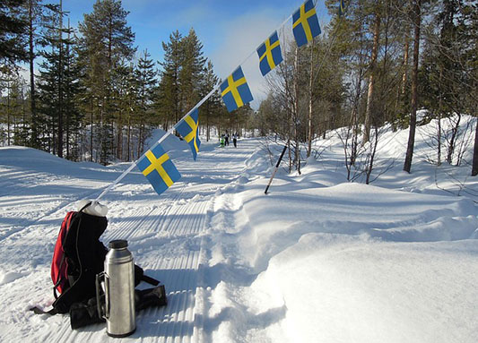 I vasaloppsspåret I vasaloppsspåret