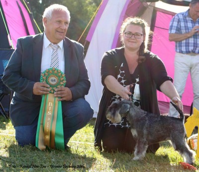 Nellie BEST IN SHOW-3 Nellie BEST IN SHOW-3