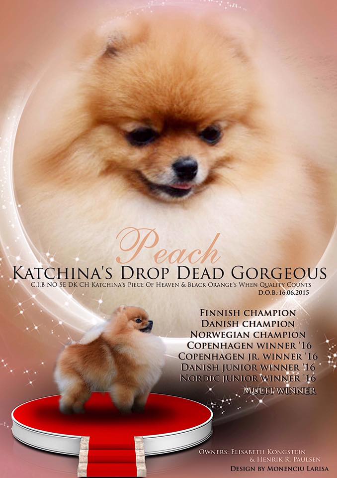 Katchinas Drop Dead Gorgeous Katchinas Drop Dead Gorgeous